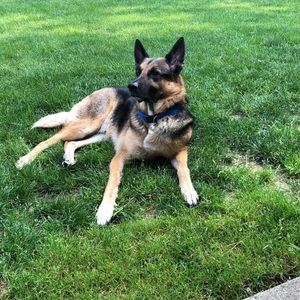 Meet your Posher, Jessica